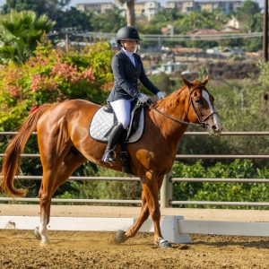 2 Varsity Open Dressage Equitation 2J1A9729