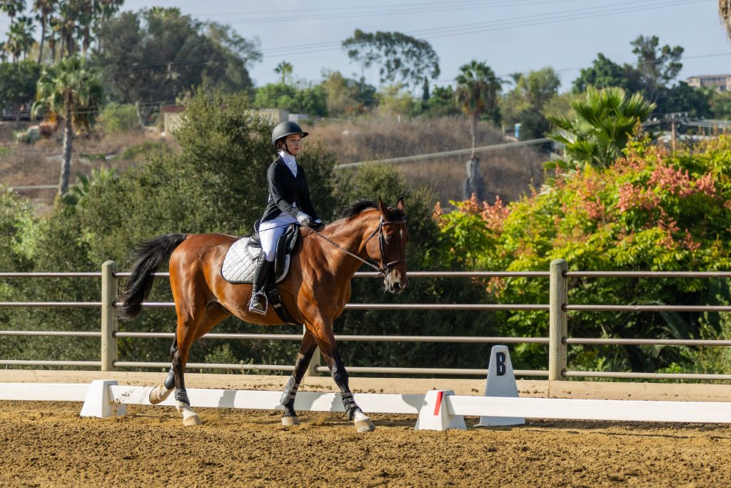 2 Varsity Open Dressage Equitation