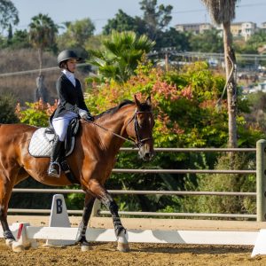 2 Varsity Open Dressage Equitation 2J1A9739