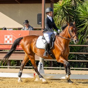 2 Varsity Open Dressage Equitation 2J1A9741
