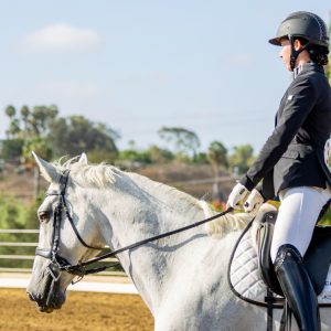 2 Varsity Open Dressage Equitation 2J1A9749