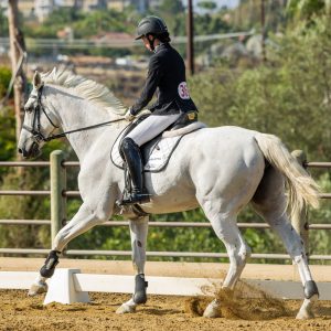 2 Varsity Open Dressage Equitation 2J1A9764