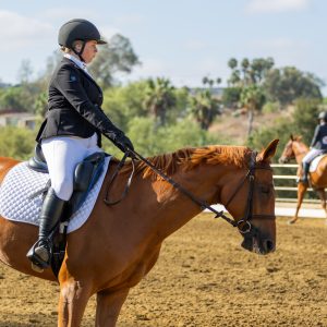 2 Varsity Open Dressage Equitation 2J1A9771