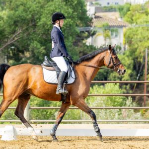 371 3 Varsity Intermediate Dressage Test 2J1A9797
