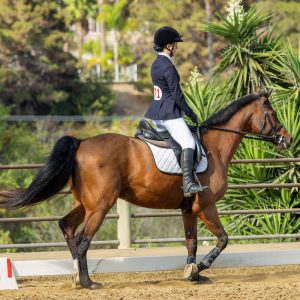 371 3 Varsity Intermediate Dressage Test 2J1A9804