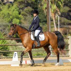 371 3 Varsity Intermediate Dressage Test 2J1A9819