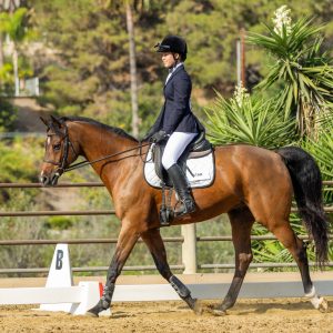 371 3 Varsity Intermediate Dressage Test 2J1A9830