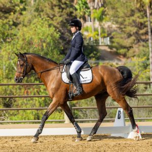 371 3 Varsity Intermediate Dressage Test 2J1A9833