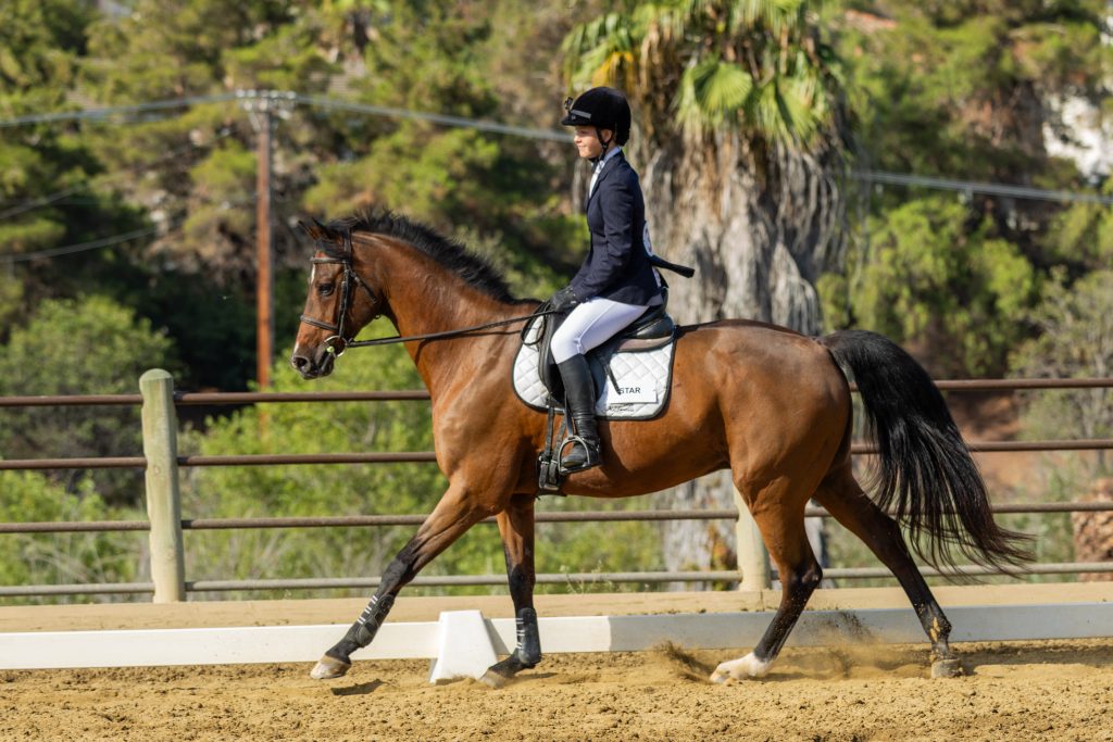 371 3 Varsity Intermediate Dressage Test