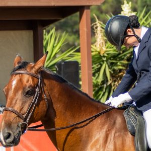 369 3 Varsity Intermediate Dressage Test 2J1A9857
