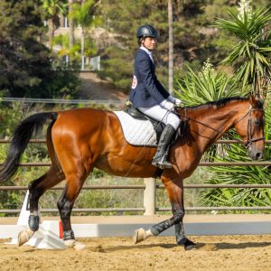 369 3 Varsity Intermediate Dressage Test 2J1A9866