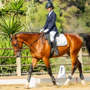 369 3 Varsity Intermediate Dressage Test 2J1A9890