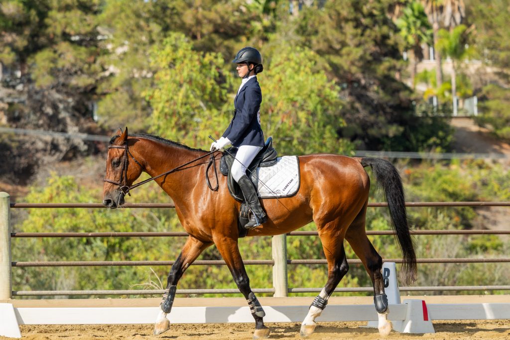 369 3 Varsity Intermediate Dressage Test