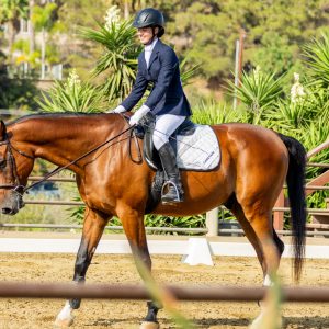 369 3 Varsity Intermediate Dressage Test 2J1A9928