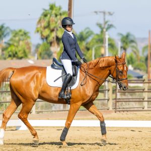 387 3 Varsity Intermediate Dressage Test 2J1A9947