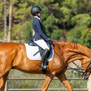 387 3 Varsity Intermediate Dressage Test 2J1A9966