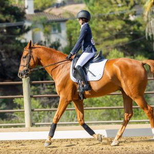 387 3 Varsity Intermediate Dressage Test 2J1A9969