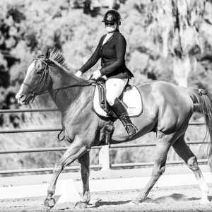 390 3 Varsity Intermediate Dressage Test 2J1A9996